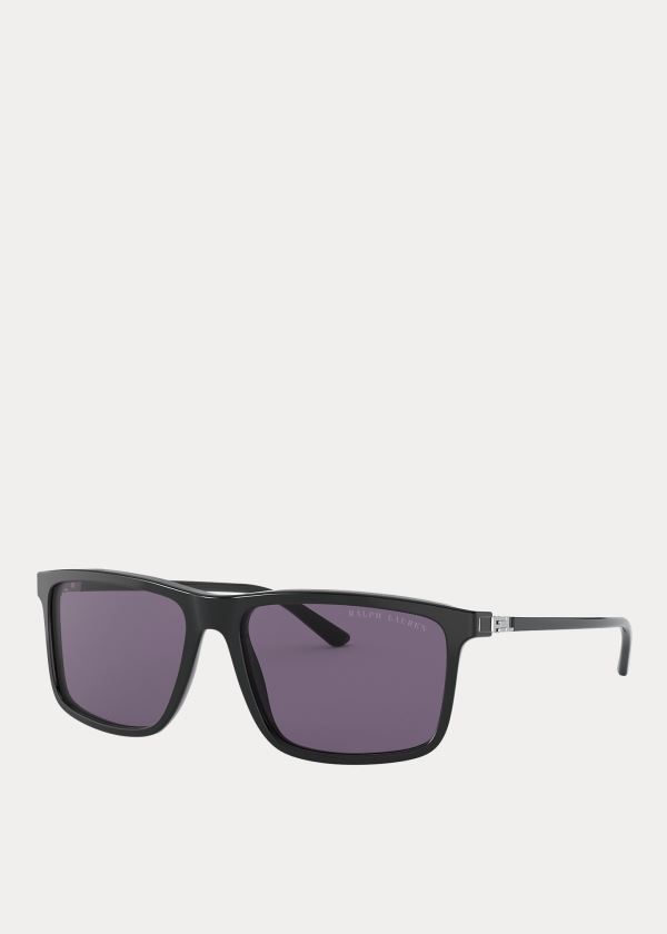 Ralph Lauren RL Hinge Sunglasses Fialové | 7FriGh3n