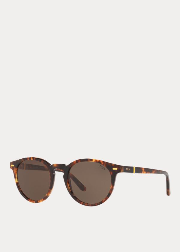 Ralph Lauren Regimental Stripe Sunglasses Hnědé | 6hgPU64P