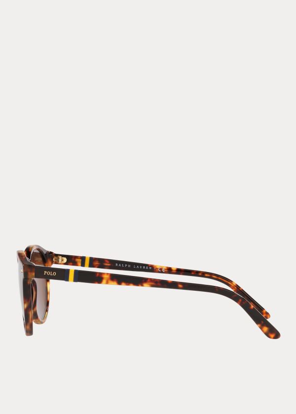 Ralph Lauren Regimental Stripe Sunglasses Hnědé | 6hgPU64P