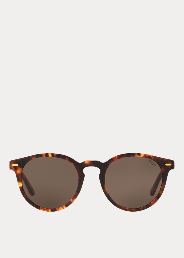 Ralph Lauren Regimental Stripe Sunglasses Hnědé | 6hgPU64P